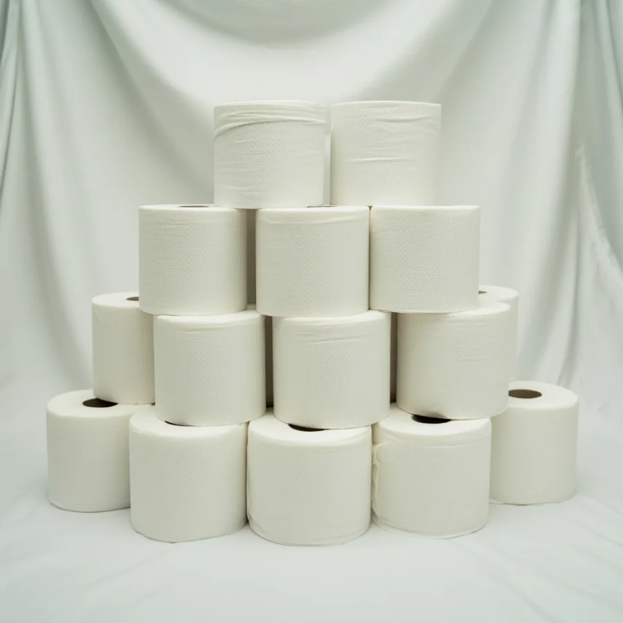 Toilet Paper 30 Rolls
